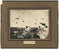 "A hop-over at Ypres" - composite photograph showing a bayonet charge by Australian troops; also shows biplanes, undated but presumably Passchendaele (3rd Battle of Ypres).jpg