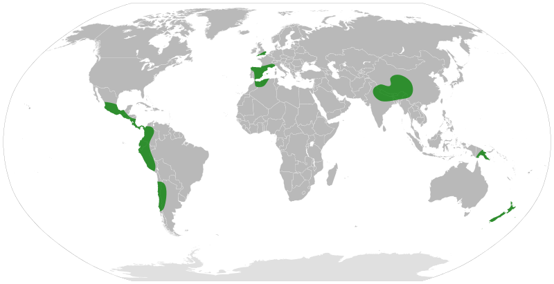 File:Coriaria distribution.svg