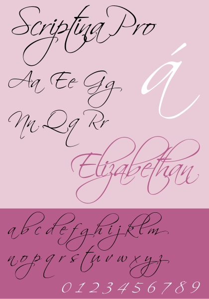 File:Scriptina Pro Specimen.svg