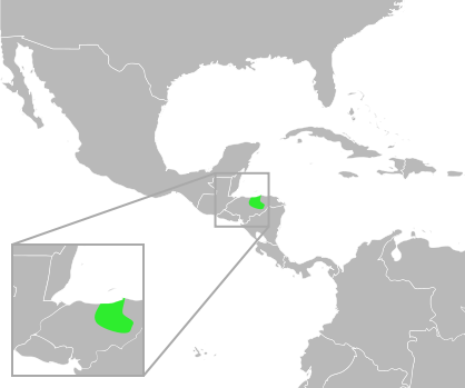 File:Bufo leucomyos distribution.svg