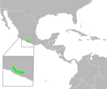 File:Bufo perplexus distribution.svg