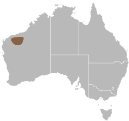 File:Delma elegans distribution.svg