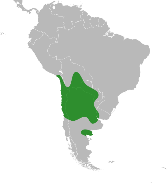 File:Geoffroea decorticans distribution.svg
