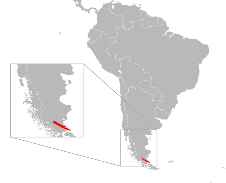 File:Liolaemus magellanicus distribution.svg
