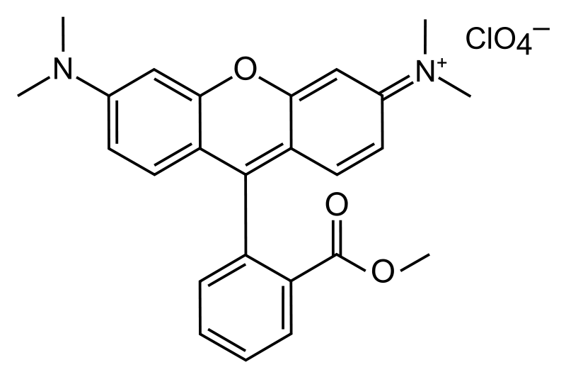 File:Tetramethylrhodamine methyl ester perchlorate.svg