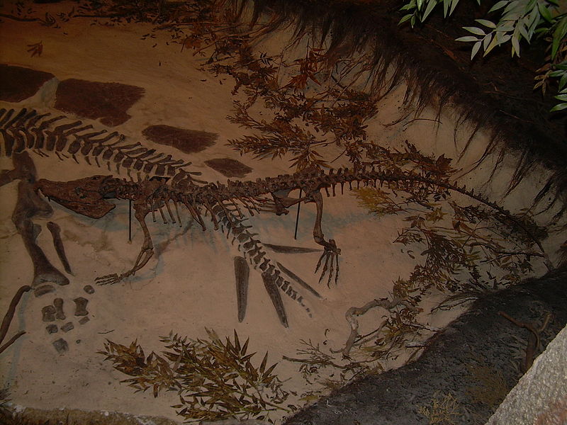 File:Goniopholis skeleton, Stegosaurus skeleton.JPG