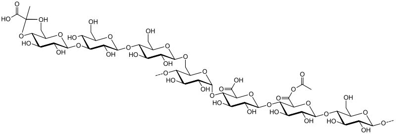 File:Rhizobium leguminosarum bv. trifolii 4S exopolysaccharide.svg