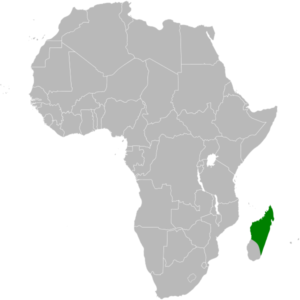 File:Typhonodorum distribution.svg