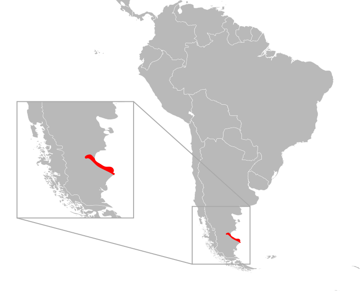 File:Liolaemus kingii distribution.svg