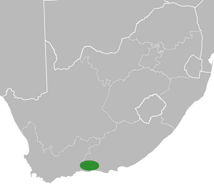 File:Liparia genistioides distribution.svg