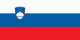 Flag of Slovenia.svg
