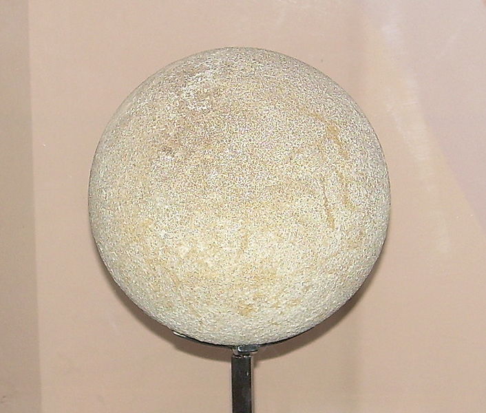 File:Saltasaurus loricatus egg.JPG