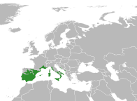 File:Ruta angustifolia distribution.svg