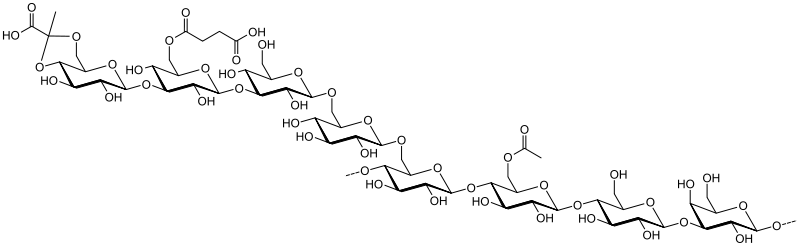 File:Sinorhizobium meliloti monosuccinylated succinoglycan (EPS I).svg