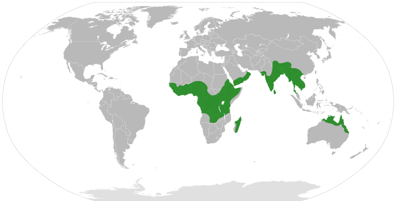 File:Remusatia distribution.svg