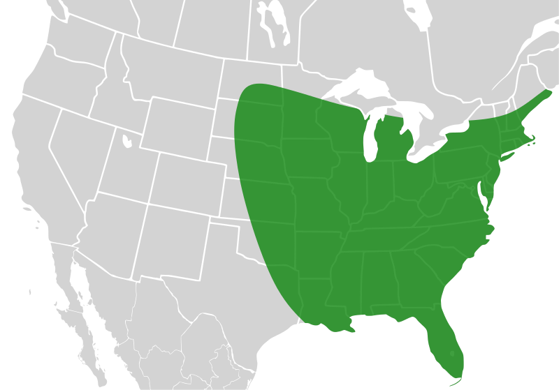 File:Bombus impatiens distribution.svg