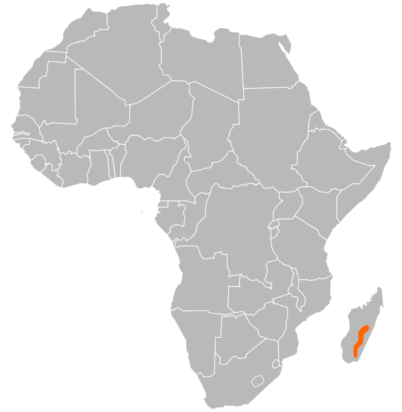 File:Astacoides distribution.svg