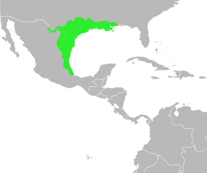 File:Bufo nebulifer distribution.svg