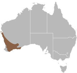 File:Delma fraseri distribution.svg