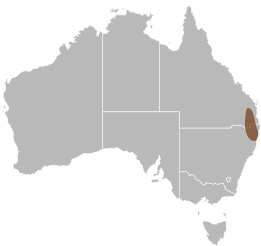 File:Delma torquata distribution.svg