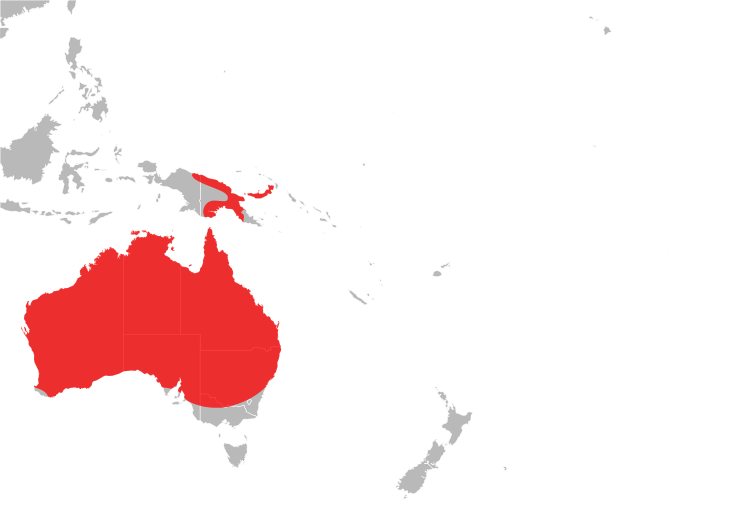 File:Lialis distribution.svg