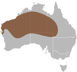 File:Delma nasuta distribution.svg