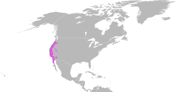File:Emys marmorata distribution.svg