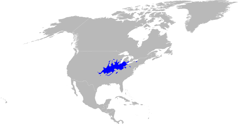 File:Gymnocladus dioicus range.svg