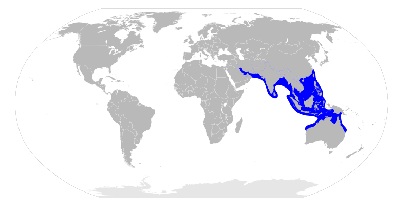 File:Eusphyra blochii distribution map.svg