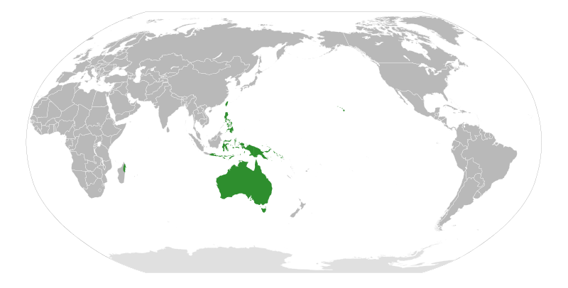 File:Acacia Distribution Map.svg