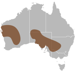 File:Delma butleri distribution.svg